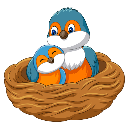 Bird Nest Egg